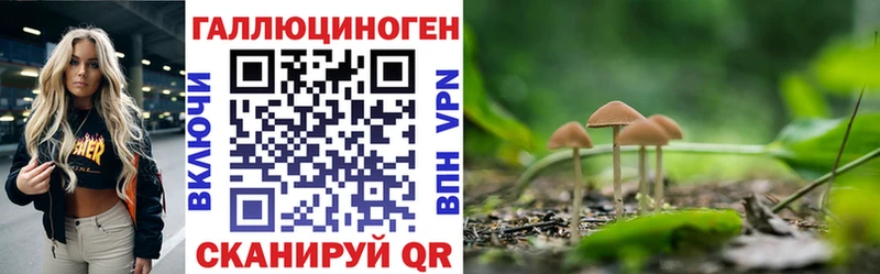 Псилоцибиновые грибы Magic Shrooms Яхрома